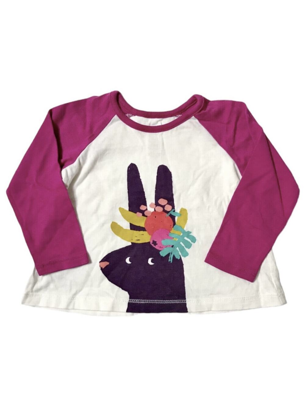 Tea Collection Fruit Bunny Raglan Tee 12m